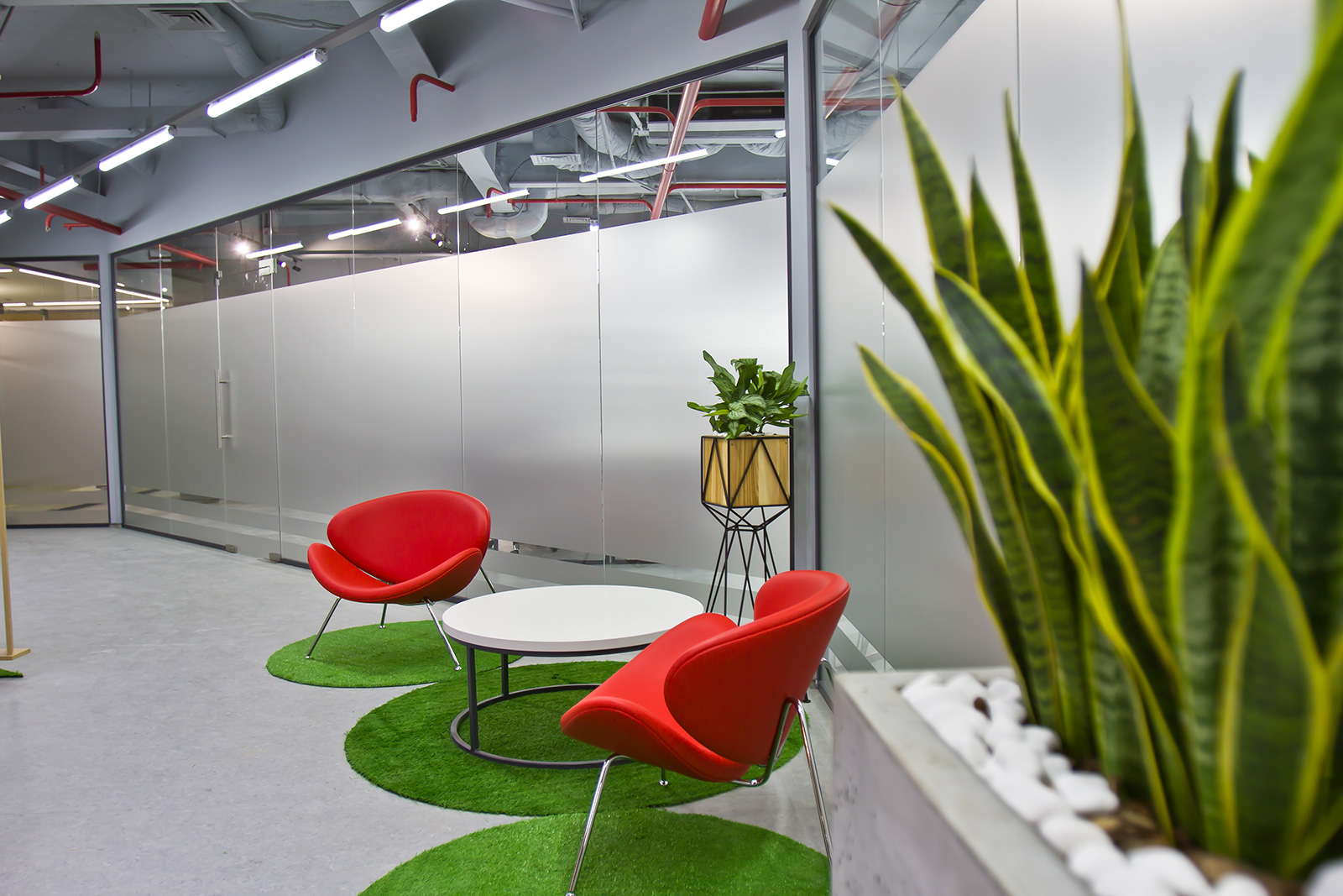 Glazed Office Screens Glazed Office Screens